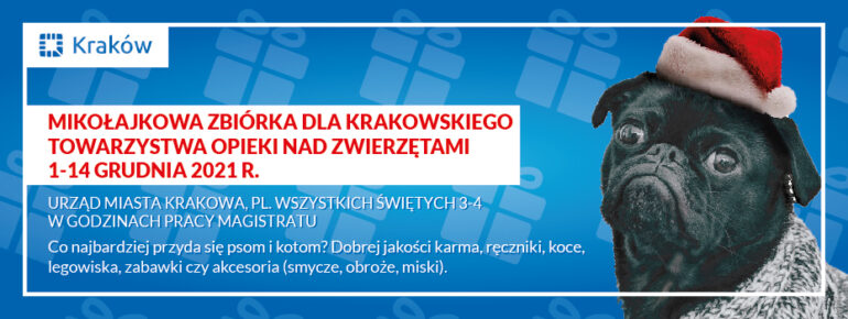 Niebieskie tło, pies, opis zbiórki